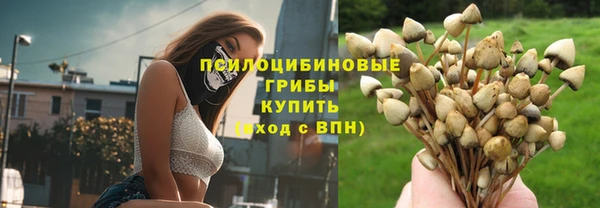 apvp Надым