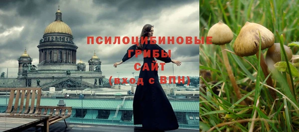 apvp Надым