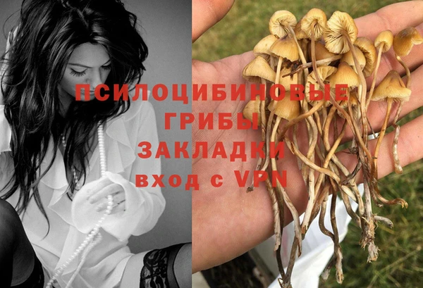 дурь Наволоки