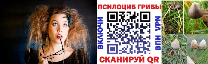 Псилоцибиновые грибы ЛСД  Купить где  Эртиль 