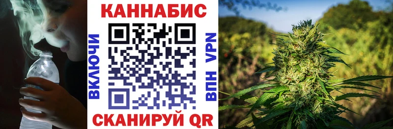 Купить закладки  Эртиль  Шишки марихуана тримм 